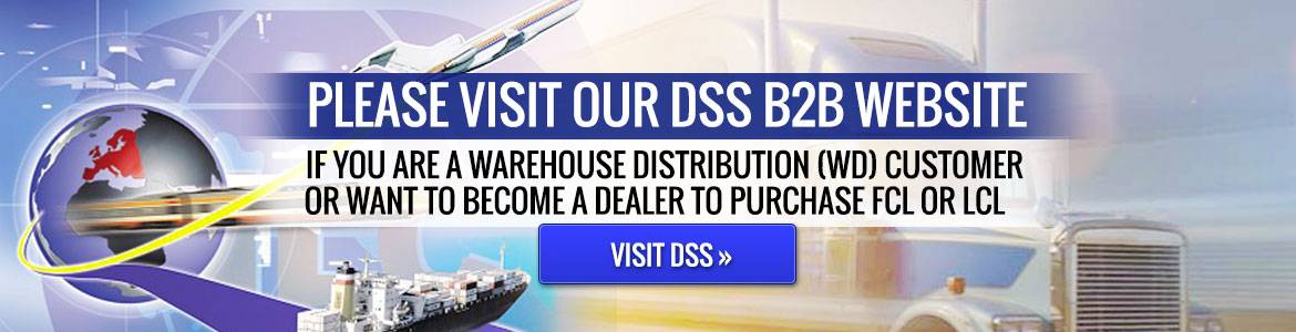 Visit DSS B2b